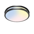 zemty 10Inch Black LED Flush Mount Ceiling Light Fixture, Dimmable &5CCT(3000K-6500K) Adjustable, 15W IP44 Damp-Rate Ceiling Lamp for Hallways, Bathrooms, Closets, Laundry Rooms-2Pack